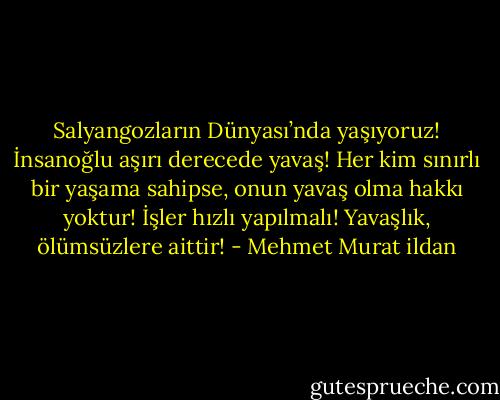 Salyangozların Dünyası’nda yaşıyoruz! İnsanoğlu aşırı derecede yavaş! Her kim sınırlı bir yaşama sahipse, onun yavaş olma hakkı yoktur! İşler hızlı yapılmalı! Yavaşlık, ölümsüzlere aittir! - Mehmet Murat ildan