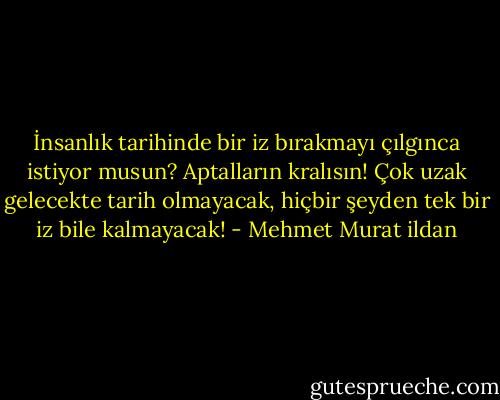 İnsanlık tarihinde bir iz bırakmayı çılgınca istiyor musun? Aptalların kralısın! Çok uzak gelecekte tarih olmayacak, hiçbir şeyden tek bir iz bile kalmayacak! - Mehmet Murat ildan