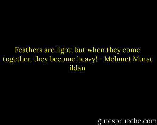 Feathers are light; but when they come together, they become heavy! - Mehmet Murat ildan