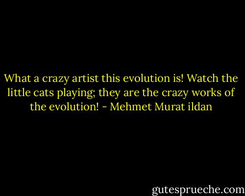 What a crazy artist this evolution is! Watch the little cats playing; they are the crazy works of the evolution! - Mehmet Murat ildan