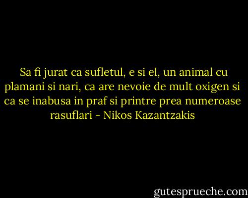  Sa fi jurat ca sufletul, e si el, un animal cu plamani si nari, ca are nevoie de mult oxigen si ca se inabusa in praf si printre prea numeroase rasuflari - Nikos Kazantzakis