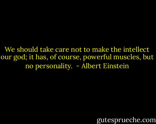 We should take care not to make the intellect our god; it has, of course, powerful muscles, but no personality.  - Albert Einstein