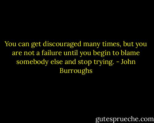 You can get discouraged many times, but you are not a failure until you begin to blame somebody else and stop trying. - John Burroughs
