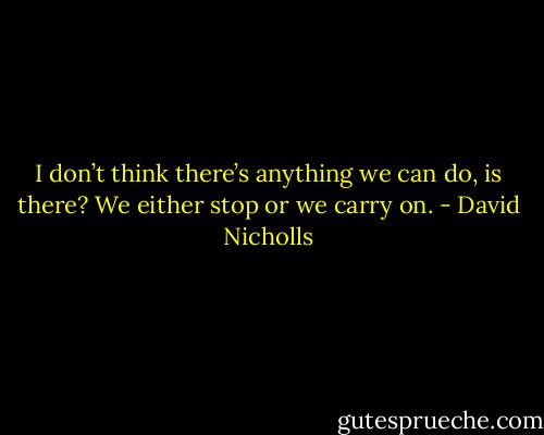 I don’t think there’s anything we can do, is there? We either stop or we carry on. - David Nicholls