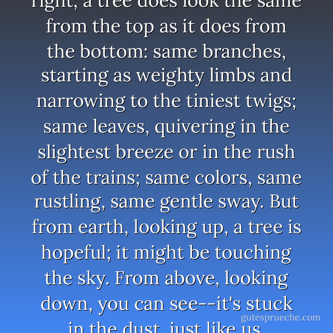 In some ways, my mother was right; a tree does look the same from the top as it does from the bottom: same branches, starting as weighty limbs and narrowing to the tiniest twigs; same leaves, quivering in the slightest breeze or in the rush of the trains; same colors, same rustling, same gentle sway. But from earth, looking up, a tree is hopeful; it might be touching the sky. From above, looking down, you can see--it's stuck in the dust, just like us. - Elissa Janine Hoole