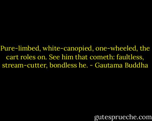 Pure-limbed, white-canopied, one-wheeled, the cart roles on. See him that cometh: faultless, stream-cutter, bondless he. - Gautama Buddha