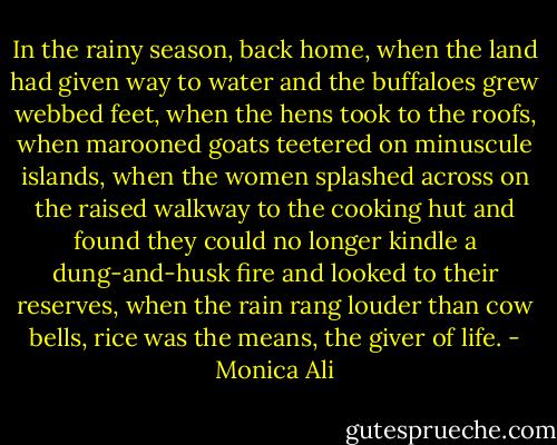In the rainy season, back home, when the land had given way to water and the buffaloes grew webbed feet, when the hens took to the roofs, when marooned goats teetered on minuscule islands, when the women splashed across on the raised walkway to the cooking hut and found they could no longer kindle a dung-and-husk fire and looked to their reserves, when the rain rang louder than cow bells, rice was the means, the giver of life. - Monica Ali