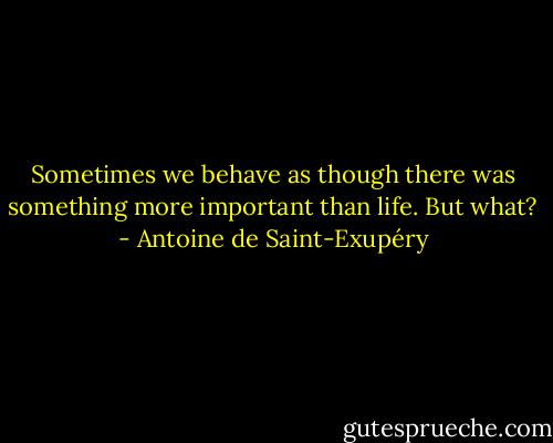 Sometimes we behave as though there was something more important than life. But what? - Antoine de Saint-Exupéry