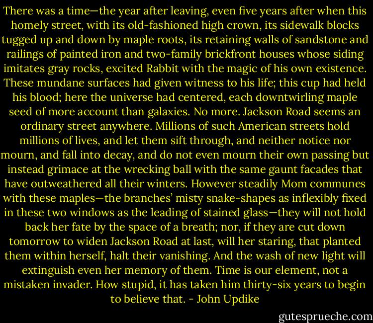 There was a time—the year after leaving, even five years after when this homely street, with its old-fashioned high crown, its sidewalk blocks tugged up and down by maple roots, its retaining walls of sandstone and railings of painted iron and two-family brickfront houses whose siding imitates gray rocks, excited Rabbit with the magic of his own existence. These mundane surfaces had given witness to his life; this cup had held his blood; here the universe had centered, each downtwirling maple seed of more account than galaxies. No more. Jackson Road seems an ordinary street anywhere. Millions of such American streets hold millions of lives, and let them sift through, and neither notice nor mourn, and fall into decay, and do not even mourn their own passing but instead grimace at the wrecking ball with the same gaunt facades that have outweathered all their winters. However steadily Mom communes with these maples—the branches’ misty snake-shapes as inflexibly fixed in these two windows as the leading of stained glass—they will not hold back her fate by the space of a breath; nor, if they are cut down tomorrow to widen Jackson Road at last, will her staring, that planted them within herself, halt their vanishing. And the wash of new light will extinguish even her memory of them. Time is our element, not a mistaken invader. How stupid, it has taken him thirty-six years to begin to believe that. - John Updike