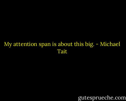 My attention span is about this big. - Michael Tait