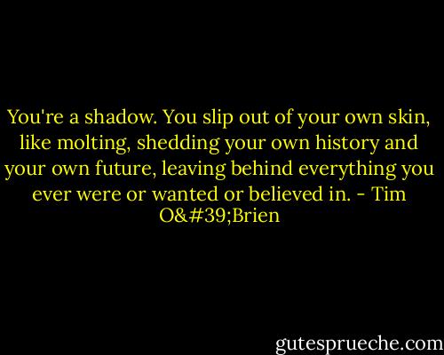 You're a shadow. You slip out of your own skin, like molting, shedding your own history and your own future, leaving behind everything you ever were or wanted or believed in. - Tim O'Brien
