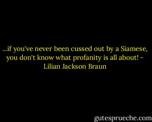 ...if you've never been cussed out by a Siamese, you don't know what profanity is all about! - Lilian Jackson Braun