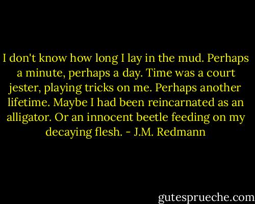 I don't know how long I lay in the mud. Perhaps a minute, perhaps a day. Time was a court jester, playing tricks on me. Perhaps another lifetime. Maybe I had been reincarnated as an alligator. Or an innocent beetle feeding on my decaying flesh. - J.M. Redmann