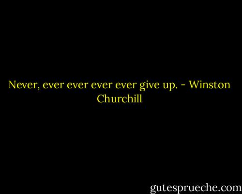 Never, ever ever ever ever give up. - Winston Churchill