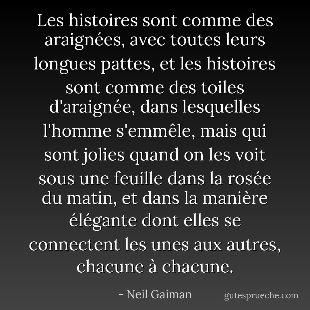 Les histoires sont comme des araignées, avec toutes leurs longues pattes, et les histoires sont comme des toiles d'araignée, dans lesquelles l'homme s'emmêle, mais qui sont jolies quand on les voit sous une feuille dans la rosée du matin, et dans la manière élégante dont elles se connectent les unes aux autres, chacune à chacune. - Neil Gaiman