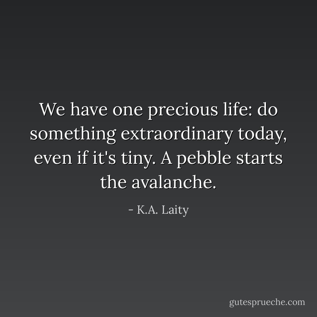 We have one precious life: do something extraordinary today, even if it's tiny. A pebble starts the avalanche. - K.A. Laity