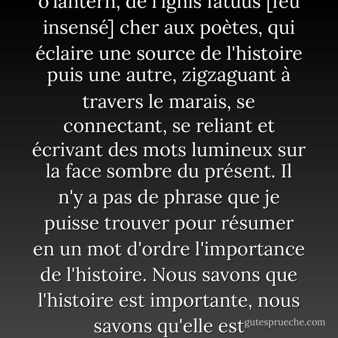 Le plus grand défi auquel sont confrontés les grands enseignants et communicateurs de l'histoire n'est pas d'enseigner l'histoire elle-même, ni même les leçons de l'histoire, mais pourquoi l'histoire a de l'importance. Comment allumer la première étincelle du feu follet, du Jack o'lantern, de l'ignis fatuus [feu insensé] cher aux poètes, qui éclaire une source de l'histoire puis une autre, zigzaguant à travers le marais, se connectant, se reliant et écrivant des mots lumineux sur la face sombre du présent. Il n'y a pas de phrase que je puisse trouver pour résumer en un mot d'ordre l'importance de l'histoire. Nous savons que l'histoire est importante, nous savons qu'elle est passionnante, absorbante, fascinante, délicieuse et exaspérante, qu'elle est la vie. Pourtant, je ne peux m'empêcher de me demander si ce n'est pas un peu comme être un wagnérien ; il faut juste s'habituer au fait que certaines personnes n'écouteront jamais. - Stephen Fry