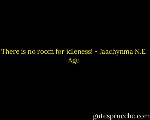 There is no room for idleness! - Jaachynma N.E. Agu
