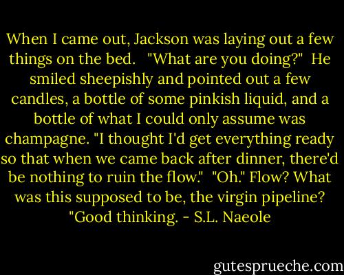 When I came out, Jackson was laying out a few things on the bed. <br /><br />"What are you doing?"<br /><br />He smiled sheepishly and pointed out a few candles, a bottle of some pinkish liquid, and a bottle of what I could only assume was champagne. "I thought I'd get everything ready so that when we came back after dinner, there'd be nothing to ruin the flow."<br /><br />"Oh." Flow? What was this supposed to be, the virgin pipeline? "Good thinking. - S.L. Naeole