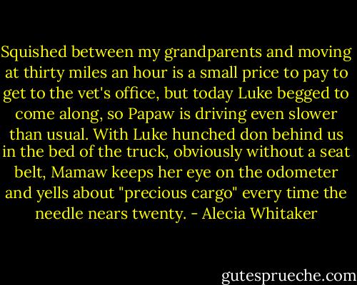 Squished between my grandparents and moving at thirty miles an hour is a small price to pay to get to the vet's office, but today Luke begged to come along, so Papaw is driving even slower than usual. With Luke hunched don behind us in the bed of the truck, obviously without a seat belt, Mamaw keeps her eye on the odometer and yells about "precious cargo" every time the needle nears twenty. - Alecia Whitaker