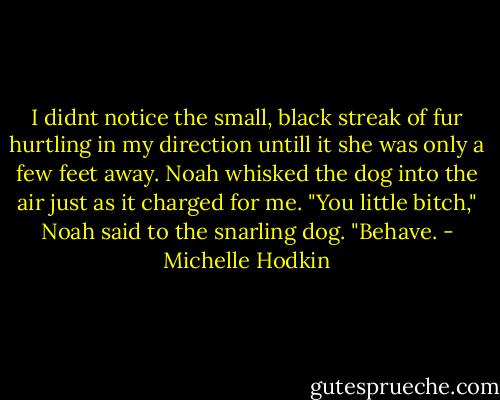 I didnt notice the small, black streak of fur hurtling in my direction untill it she was only a few feet away. Noah whisked the dog into the air just as it charged for me. "You little bitch," Noah said to the snarling dog. "Behave. - Michelle Hodkin