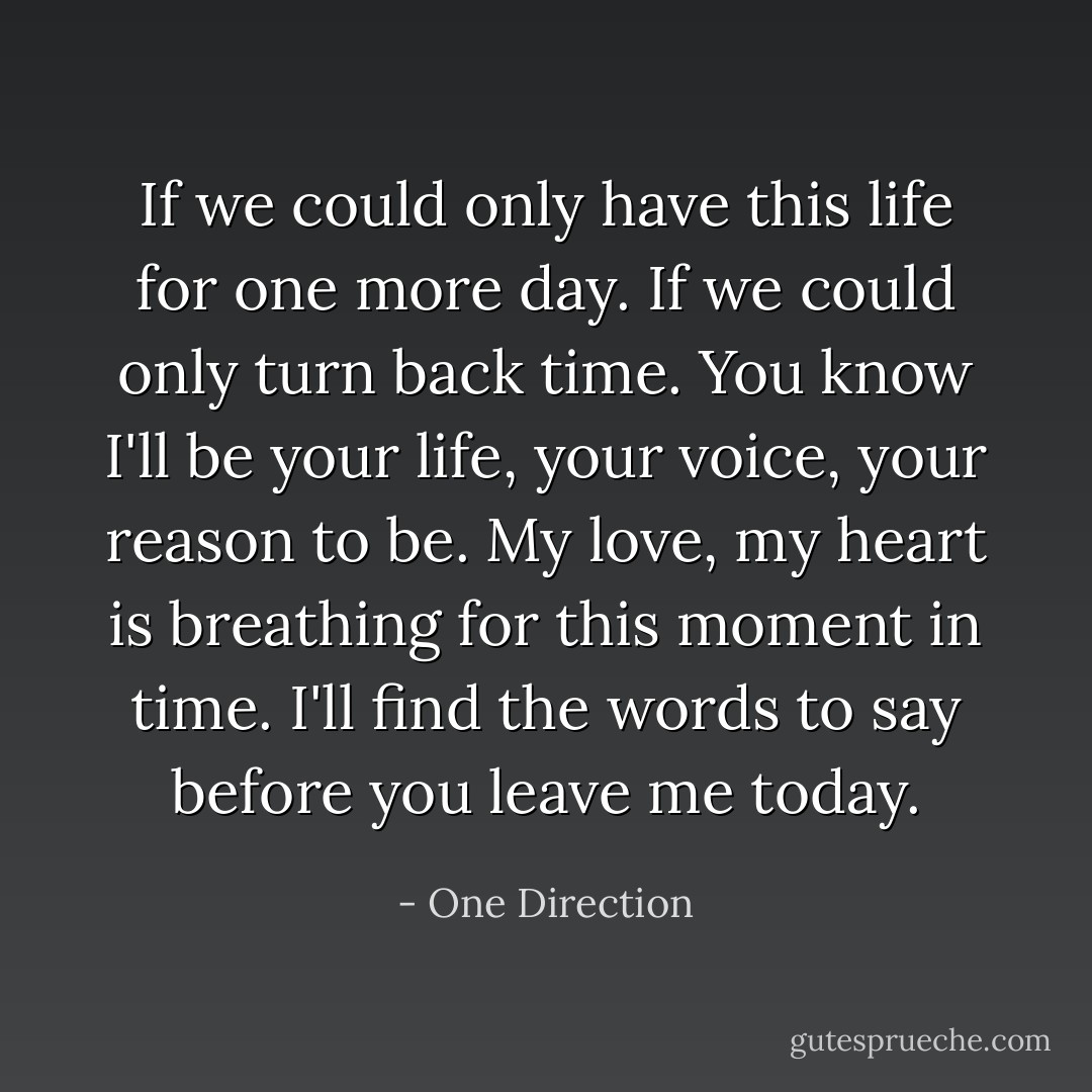If we could only have this life for one more day. If we could only turn back time. You know I'll be your life, your voice, your reason to be. My love, my heart is breathing for this moment in time. I'll find the words to say before you leave me today. - One Direction