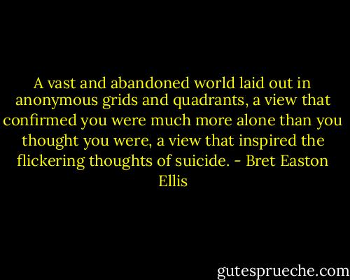 A vast and abandoned world laid out in anonymous grids and quadrants, a view that confirmed you were much more alone than you thought you were, a view that inspired the flickering thoughts of suicide. - Bret Easton Ellis