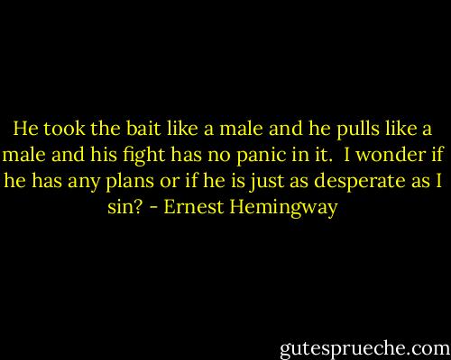 He took the bait like a male and he pulls like a male and his fight has no panic in it. <br />I wonder if he has any plans or if he is just as desperate as I sin? - Ernest Hemingway