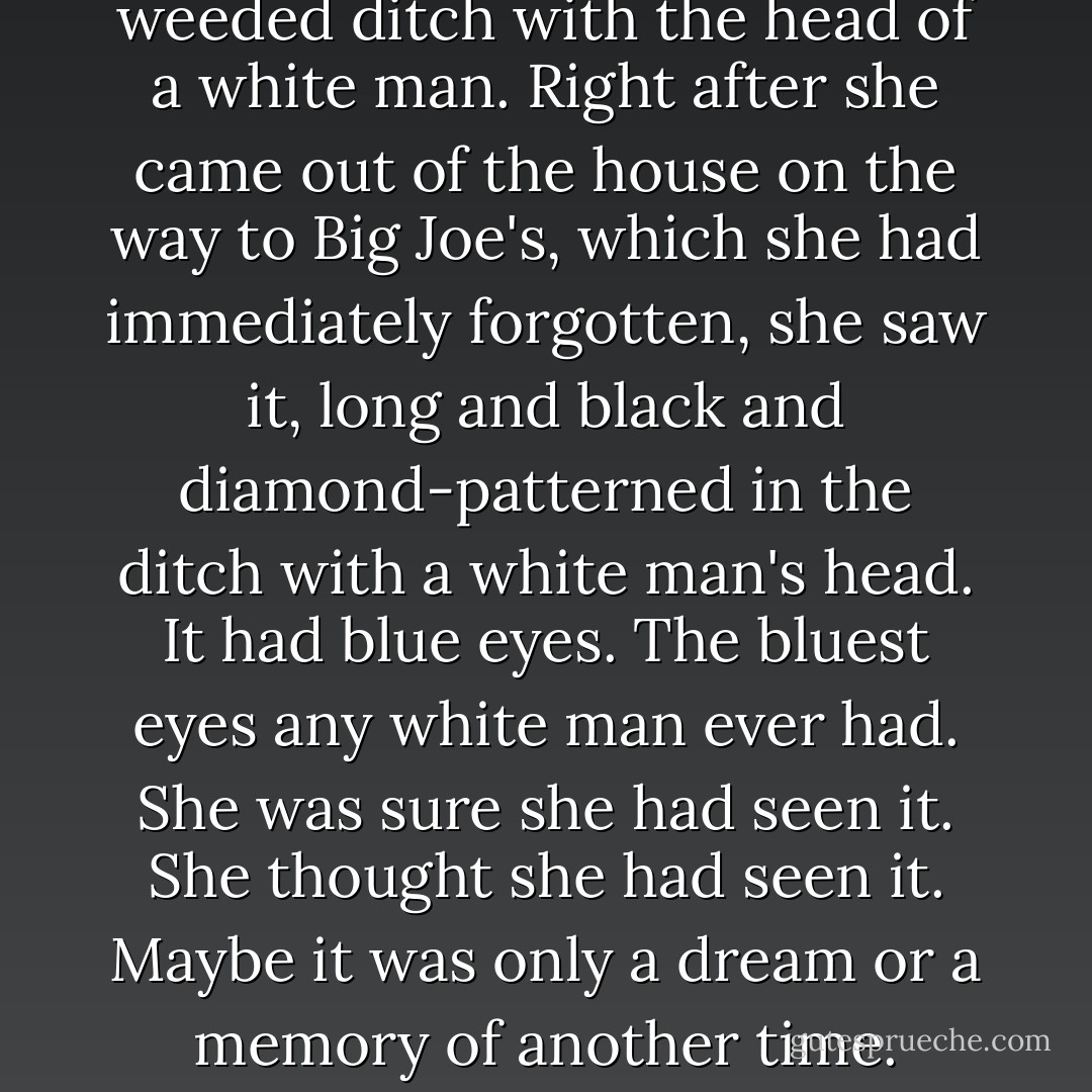 White people were dangerous and snakes were dangerous and now the two were working together, each doing what the other told it to. She was sure she had seen a snake in a weeded ditch with the head of a white man. Right after she came out of the house on the way to Big Joe's, which she had immediately forgotten, she saw it, long and black and diamond-patterned in the ditch with a white man's head. It had blue eyes. The bluest eyes any white man ever had. She was sure she had seen it. She thought she had seen it. Maybe it was only a dream or a memory of another time. Whatever it was, she still saw it every time she closed her eyes, coiled there on the back of her eyelids, blue-eyed and dangerous. - Harry Crews