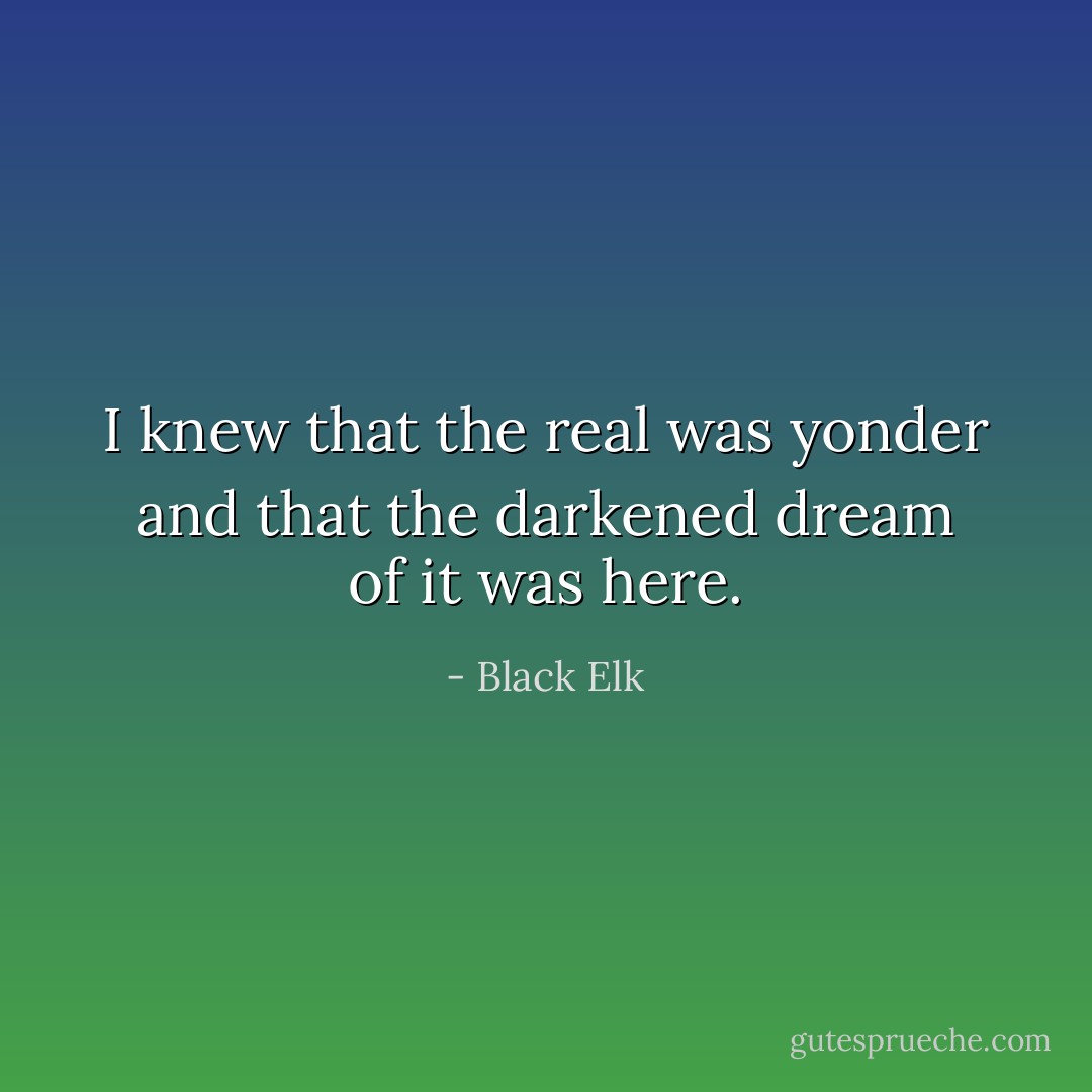 I knew that the real was yonder and that the darkened dream of it was here. - Black Elk