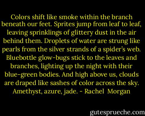Colors shift like smoke within the branch beneath our feet. Sprites jump from leaf to leaf, leaving sprinklings of glittery dust in the air behind them. Droplets of water are strung like pearls from the silver strands of a spider’s web. Bluebottle glow-bugs stick to the leaves and branches, lighting up the night with their blue-green bodies. And high above us, clouds are draped like sashes of color across the sky. Amethyst, azure, jade. - Rachel  Morgan