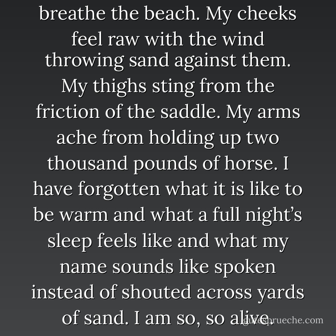 This time of year, I live and breathe the beach. My cheeks feel raw with the wind throwing sand against them. My thighs sting from the friction of<br />the saddle. My arms ache from holding up two thousand pounds of horse. I have forgotten what it is like to be warm and what a full night’s sleep feels like and what my name sounds like spoken instead of shouted across yards of sand.<br />I am so, so alive. - Maggie Stiefvater