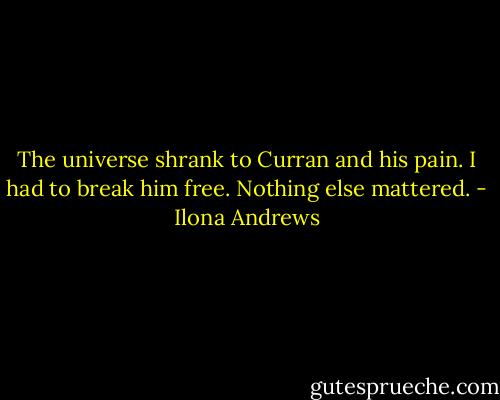 The universe shrank to Curran and his pain. I had to break him free. Nothing else mattered. - Ilona Andrews