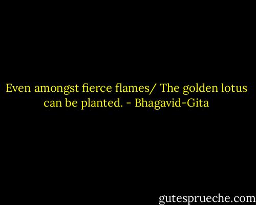 Even amongst fierce flames/ The golden lotus can be planted. - Bhagavid-Gita