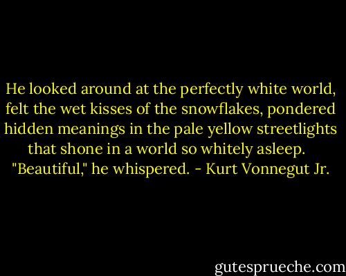 He looked around at the perfectly white world, felt the wet kisses of the snowflakes, pondered hidden meanings in the pale yellow streetlights that shone in a world so whitely asleep. <br /><br />"Beautiful," he whispered. - Kurt Vonnegut Jr.