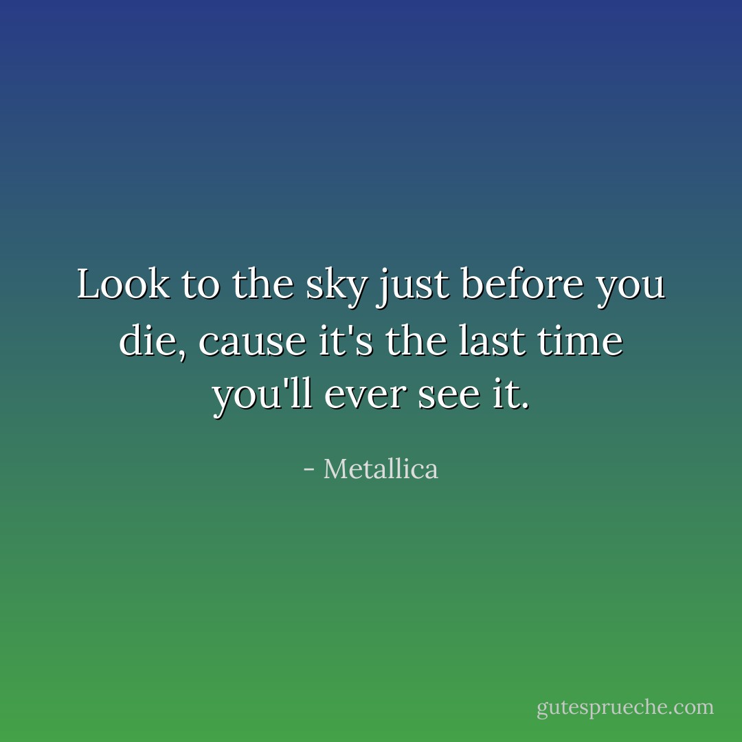 Look to the sky just before you die, cause it's the last time you'll ever see it. - Metallica