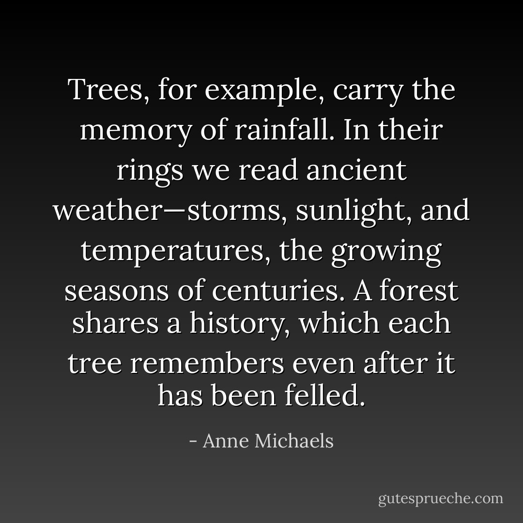 Trees, for example, carry the memory of rainfall. In their rings we read ancient weather—storms, sunlight, and temperatures, the growing seasons of centuries. A forest shares a history, which each tree remembers even after it has been felled. - Anne Michaels