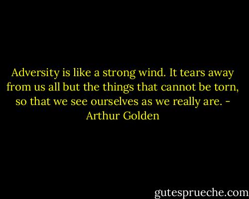Adversity is like a strong wind. It tears away from us all but the things that cannot be torn, so that we see ourselves as we really are. - Arthur Golden