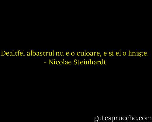 Dealtfel albastrul nu e o culoare, e şi el o linişte. - Nicolae Steinhardt