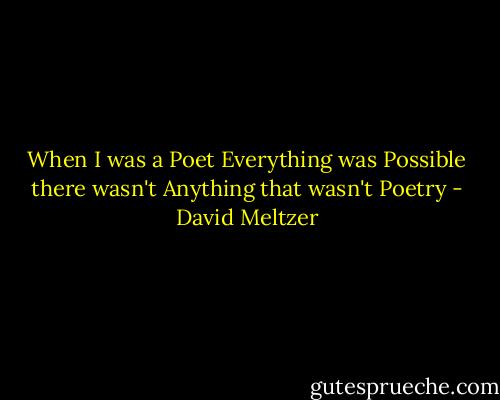 When I was a Poet<br />Everything was Possible<br />there wasn't Anything<br />that wasn't Poetry - David Meltzer