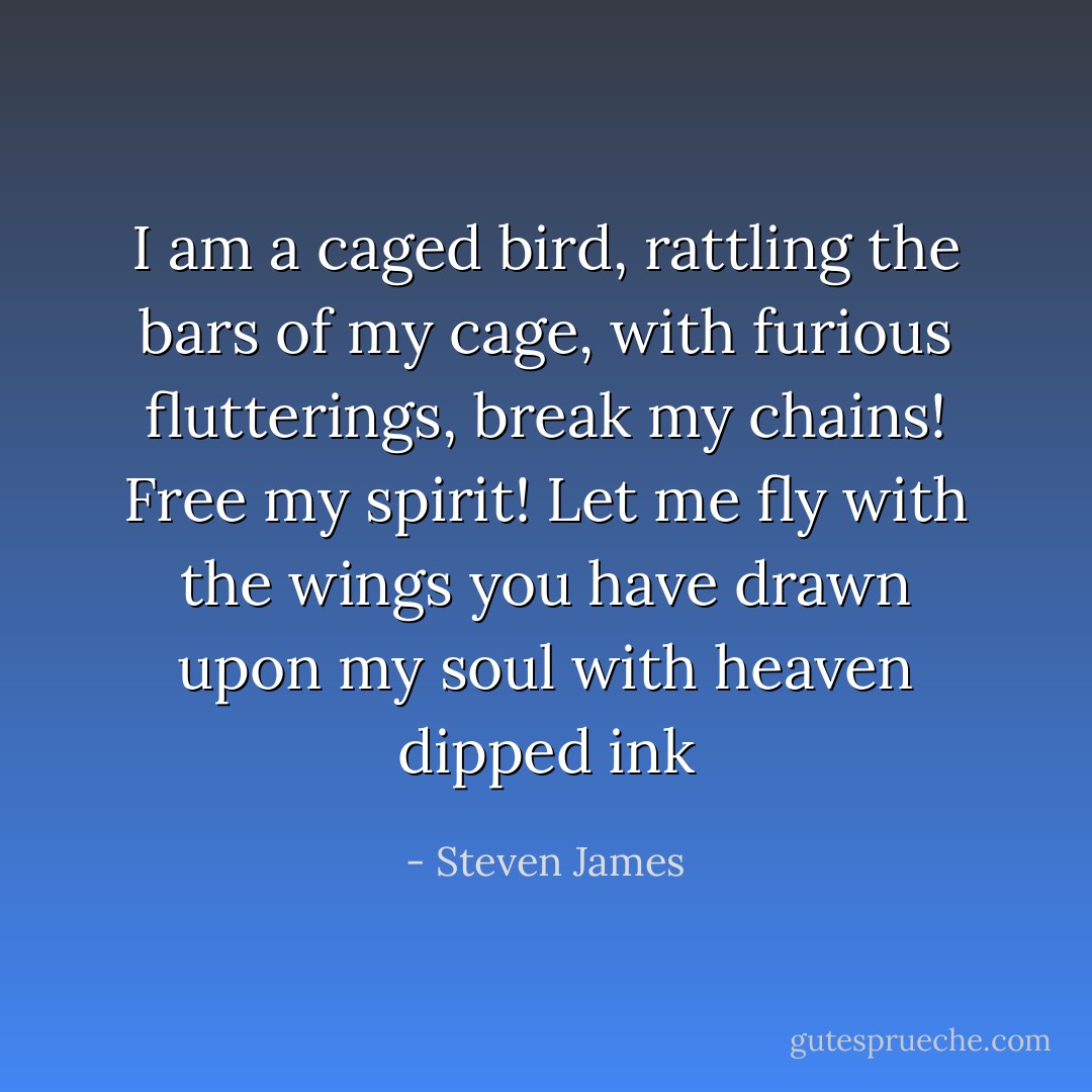 I am a caged bird,<br />rattling the bars of my cage,<br />with furious flutterings,<br />break my chains!<br />Free my spirit!<br />Let me fly with the wings you have drawn upon my soul<br />with heaven dipped ink - Steven James