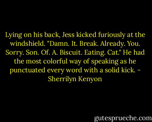 Lying on his back, Jess kicked furiously at the windshield. "Damn. It. Break. Already. You. Sorry. Son. Of. A. Biscuit. Eating. Cat." He had the most colorful way of speaking as he punctuated every word with a solid kick. - Sherrilyn Kenyon