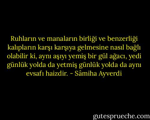 Ruhların ve manaların birliği ve benzerliği kalıpların karşı karşıya gelmesine nasıl bağlı olabilir ki, aynı aşıyı yemiş bir gül ağacı, yedi günlük yolda da yetmiş günlük yolda da aynı evsafı haizdir. - Sâmiha Ayverdi