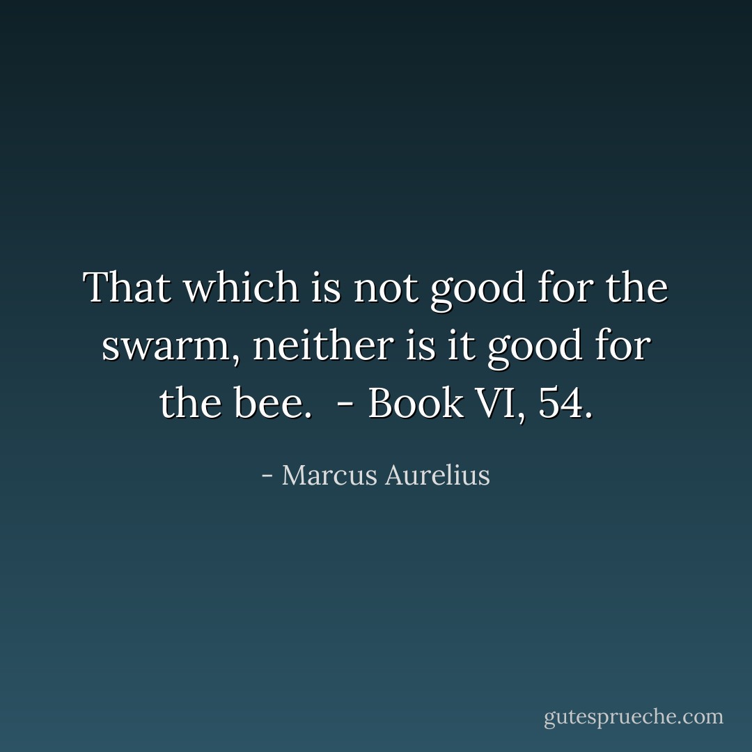 That which is not good for the swarm, neither is it good for the bee.<br /><br />- Book VI, 54. - Marcus Aurelius