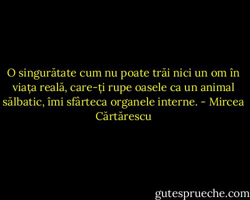O singurătate cum nu poate trăi nici un om în viața reală, care-ți rupe oasele ca un animal sălbatic, îmi sfârteca organele interne. - Mircea Cărtărescu