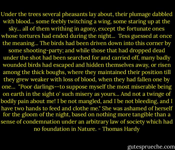 Under the trees several pheasants lay about, their plumage dabbled with blood... some feebly twitching a wing, some staring up at the sky... all of them writhing in agony, except the fortunate ones whose tortures had ended during the night...<br /><br />Tess guessed at once the meaning... The birds had been driven down into this corner by some shooting-party; and while those that had dropped dead under the shot had been searched for and carried off, many badly wounded birds had escaped and hidden themselves away, or risen among the thick boughs, where they maintained their position till they grew weaker with loss of blood, when they had fallen one by one...<br /><br />"Poor darlings--to suppose myself the most miserable being on earth in the sight o' such misery as yours... And not a twinge of bodily pain about me! I be not mangled, and I be not bleeding, and I have two hands to feed and clothe me." She was ashamed of herself for the gloom of the night, based on nothing more tangible than a sense of condemnation under an arbitrary law of society which had no foundation in Nature. - Thomas Hardy