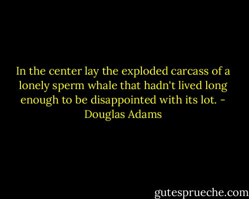 In the center lay the exploded carcass of a lonely sperm whale that hadn't lived long enough to be disappointed with its lot. - Douglas Adams