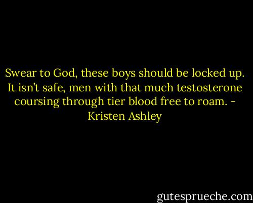 Swear to God, these boys should be locked up. It isn’t safe, men with that much testosterone coursing through tier blood free to roam. - Kristen Ashley