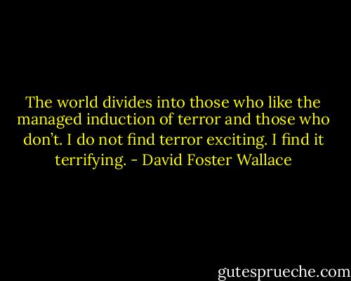 The world divides into those who like the managed induction of terror and those who don’t. I do not find terror exciting. I find it terrifying. - David Foster Wallace
