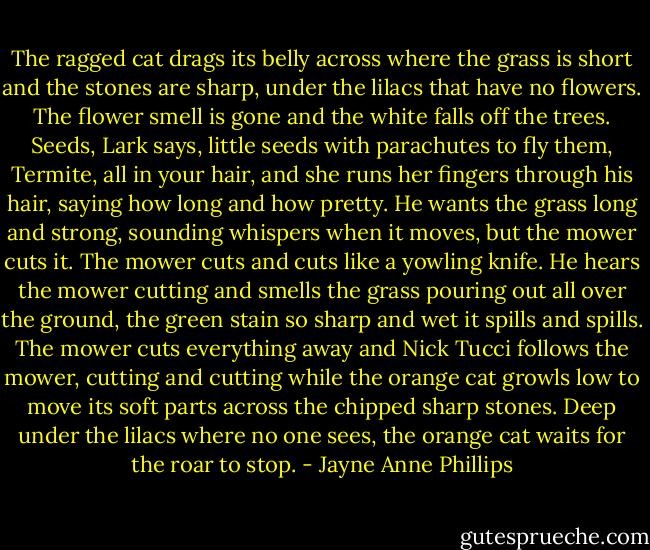 The ragged cat drags its belly across where the grass is short and the stones are sharp, under the lilacs that have no flowers. The flower smell is gone and the white falls off the trees. Seeds, Lark says, little seeds with parachutes to fly them, Termite, all in your hair, and she runs her fingers through his hair, saying how long and how pretty. He wants the grass long and strong, sounding whispers when it moves, but the mower cuts it. The mower cuts and cuts like a yowling knife. He hears the mower cutting and smells the grass pouring out all over the ground, the green stain so sharp and wet it spills and spills. The mower cuts everything away and Nick Tucci follows the mower, cutting and cutting while the orange cat growls low to move its soft parts across the chipped sharp stones. Deep under the lilacs where no one sees, the orange cat waits for the roar to stop. - Jayne Anne Phillips